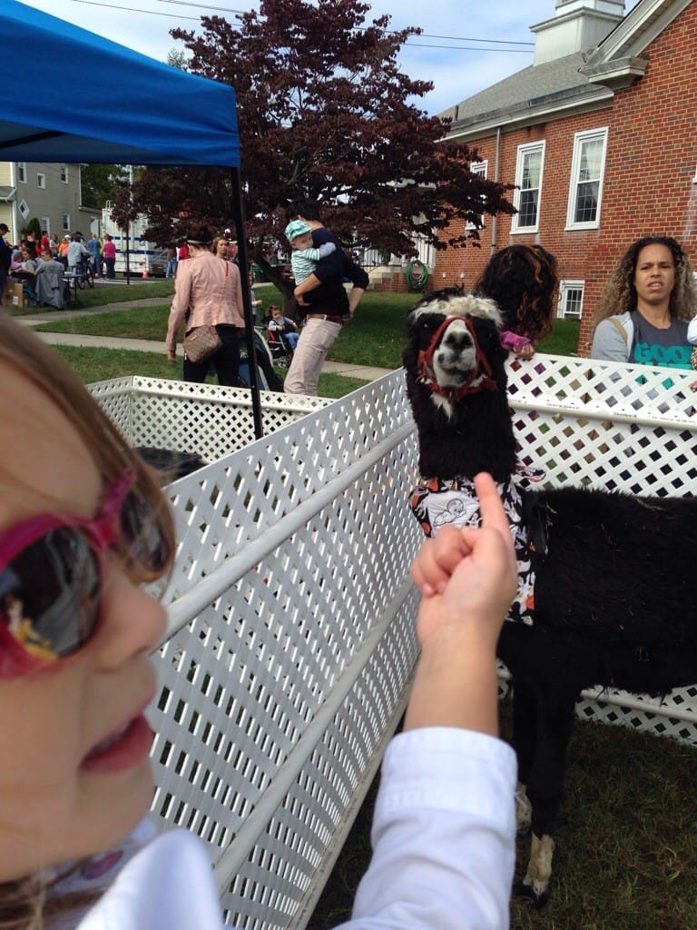 Barrington Harvest Festival Maddy's Place